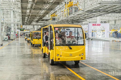 先看后試再下單，長城汽車工廠直銷特賣會(huì)狂收訂單572臺(tái)