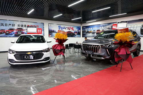 忻城汽車新地標(biāo)！青龍車行元旦盛大開業(yè)，打造一站式汽車銷售綜合體